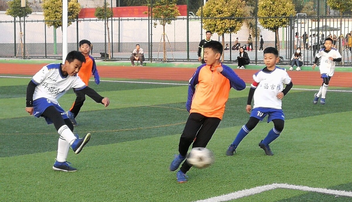 但面对诺伊 但面对诺伊